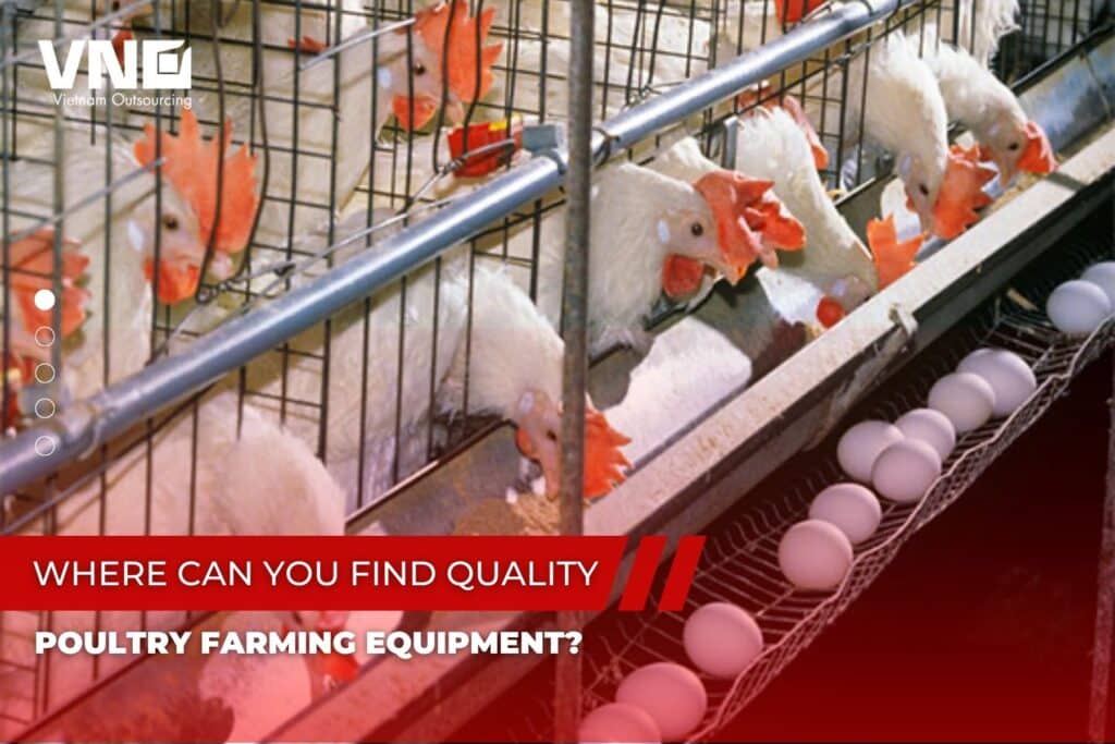 Poultry Farming Equipment