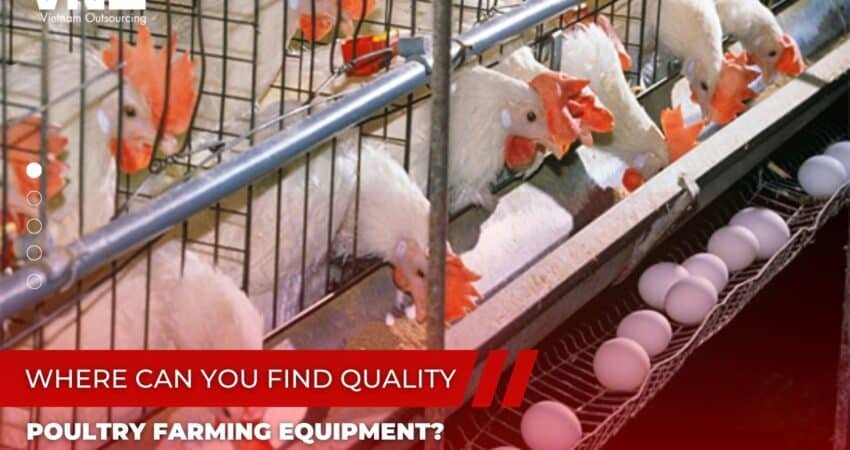 Poultry Farming Equipment