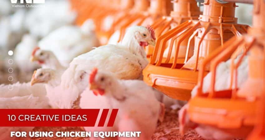 10 Creative Ideas for Using Chicken Equipment