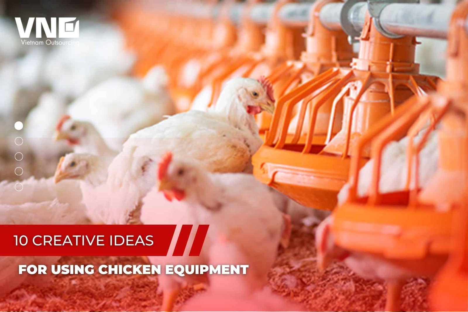 10 Creative Ideas for Using Chicken Equipment